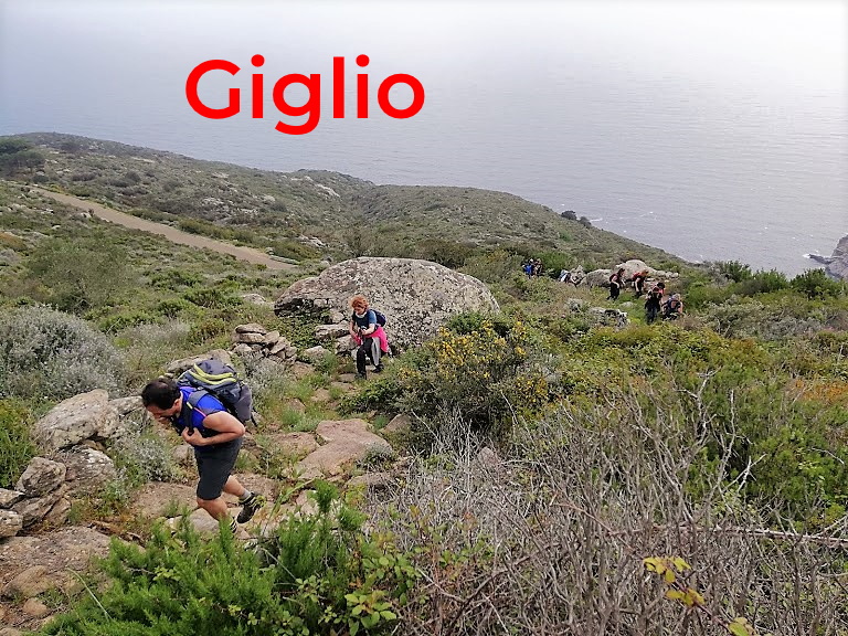 Isola del Giglio Image - Photo 1